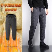 cms/erpbt/backend/web/uploads/erp/collection/images/Men Clothes/LITEWEI/EN0199813/img_b/EN0199813_img_b_3